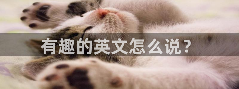 安信12登录地址