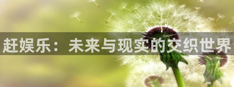 安信12注册
