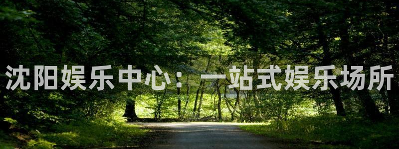 安信12登录入口官网