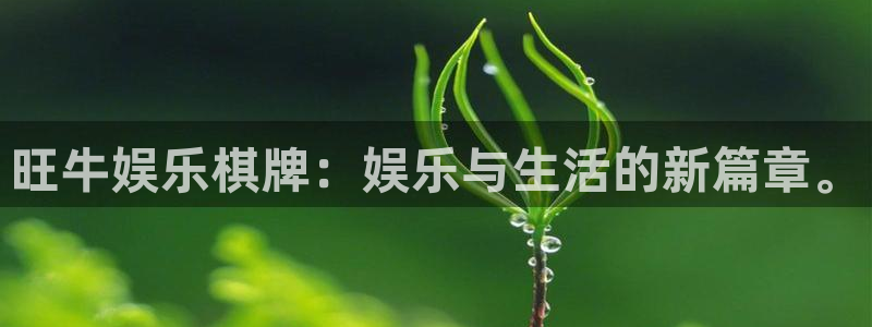 安信12登录入口最新版本更新内容