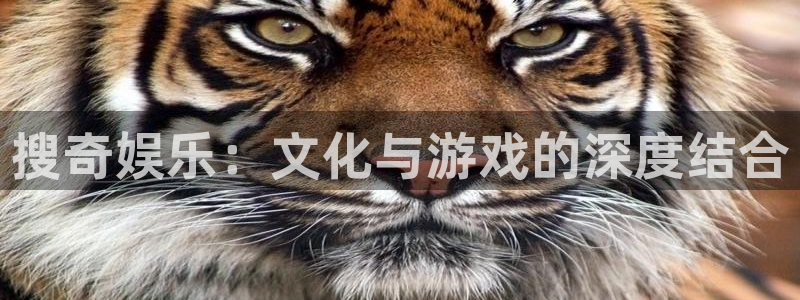 安信12注册登录