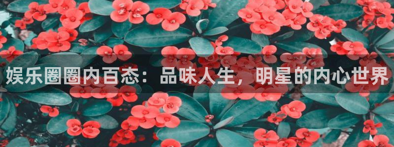 安信12登录入口最新版本更新内容