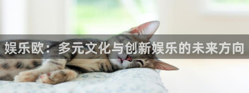 安信12登陆