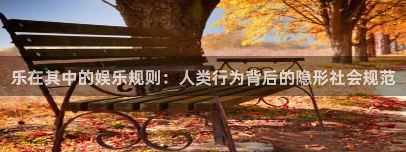 安信12